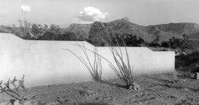 Desert Wall